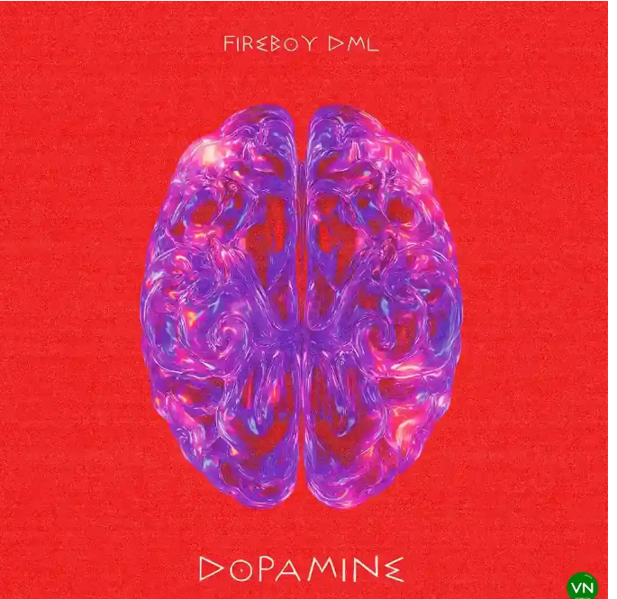 Update | Fireboy DML – Dopamine