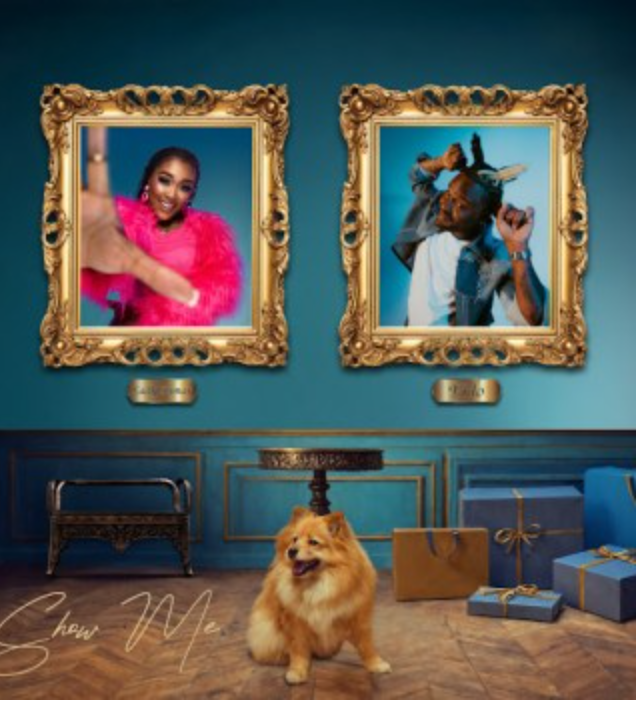 Mp3 | Lady Zamar Ft Fido – show me