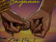 Bayanni – STICK TO THE PLAN