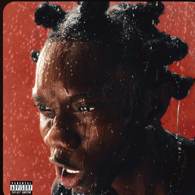 BlaqBonez – Fine Shyt ft Tml Vibez